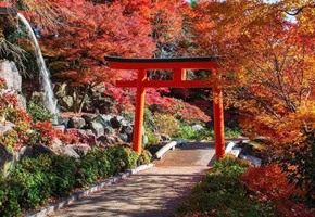 Exploring Japan in autumn
