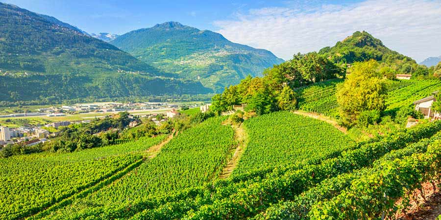 Sampling Valais wine in the Rhône Valley