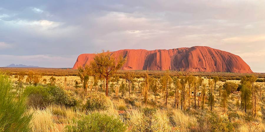  The orange rocks of Uluru. 