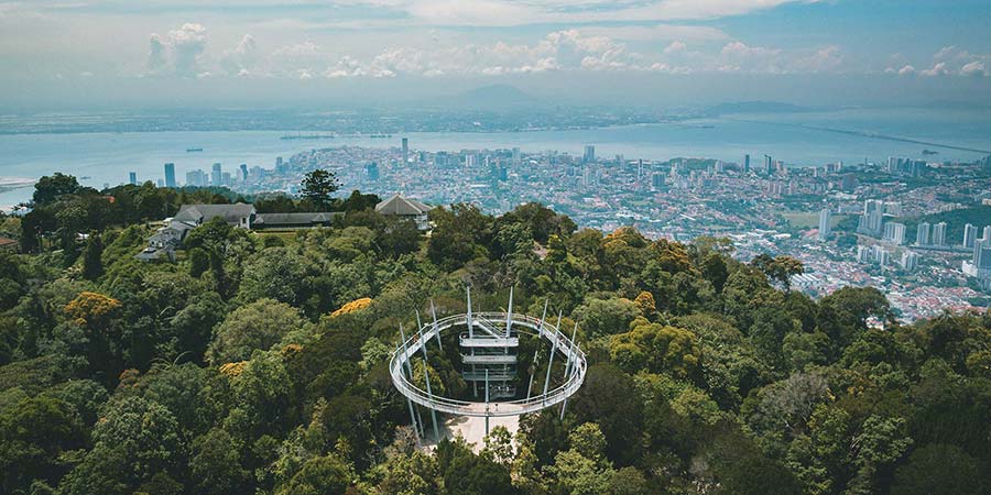Walking among the treetops at The Habitat on Penang Hill
