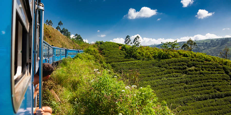 Riding the tea train through misty Sri Lankan mountains